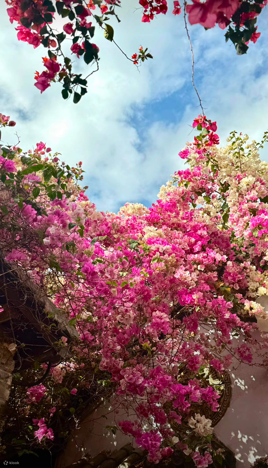 [Inside Gankeng Ancient Town/Directly reach Futian Port Line 10] Shenzhen OCT Gankeng Ancient Town - Nanxianglou Art Hotel Accommodation Package